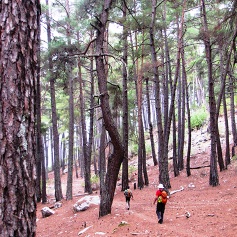 Olympos Teleferik Facilitions..